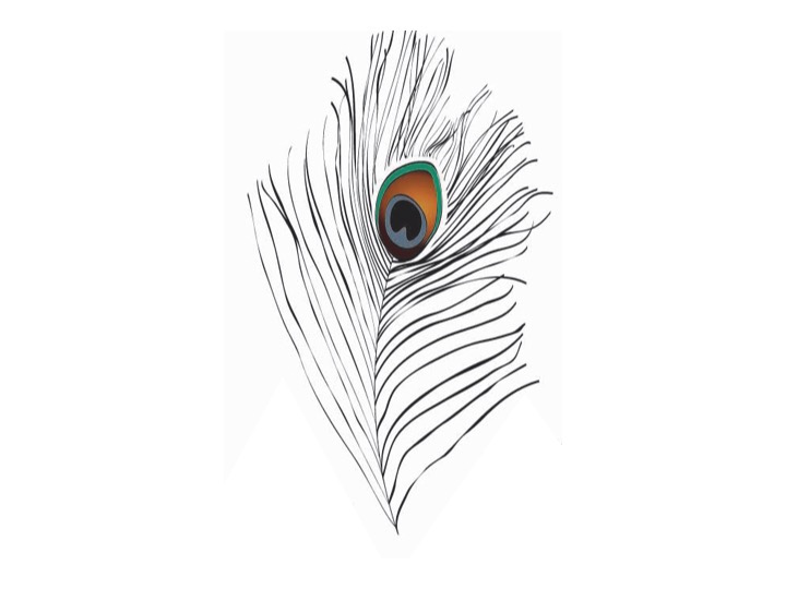 Maison Plume