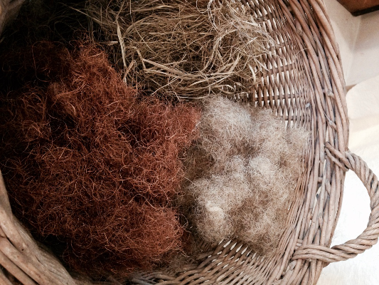 Crin végétal et crin animal